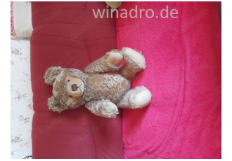 Gut Original  den