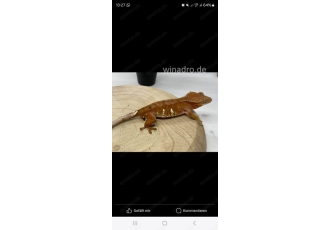 Habe folgende  Zuhause