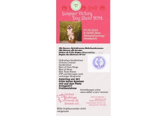 Rassehundeausstellung Rassehundeausstellung