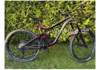 Zum steht  Giant