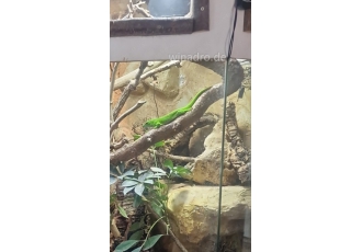 Hallo Abgabe  Pärchen