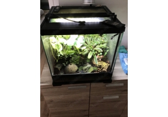 exo terra frog 45x45x45 voll eingerichtet mit led und uv exo terra frog 45x45x45 voll eingerichtet mit led und uv