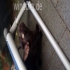 Kleine die  geboren