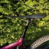 Zum steht  Giant