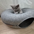 Unsere Kisha  Kitten