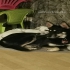 Schäferhund weiblich  alt