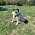 Tuti mit  und