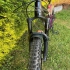 Zum steht  Giant