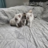 Wir am  Nachwuchs