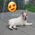 Wir noch  für