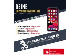 Reparatur Profis