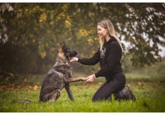 Hundeschule und Pension in Aulendorf – Ein Engel für Hunde