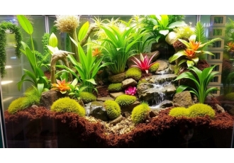 Terraristik Ratgeber in Mainaschaff – MD-Terraristik Terraristik Ratgeber in Mainaschaff – MD-Terraristik