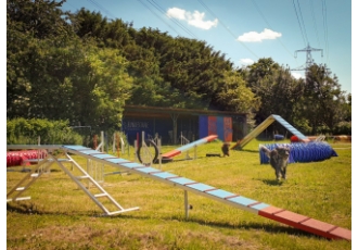Hundeschule in Köln – Hundeschule und Mehr