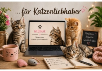 Tierpsychologische Beratung für Katzen in Bonn – Imke Arracher-Küster