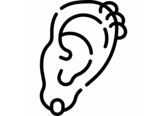 Piercing & Tattoo in Hamburg-Bergedorf – Cult Accessoires