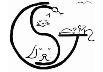Tierarzt in Bad Rappenau – Dr. Silke Guggolz Tierarzt in Bad Rappenau – Dr. Silke Guggolz
