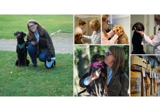 Hundesalon Sülldorf