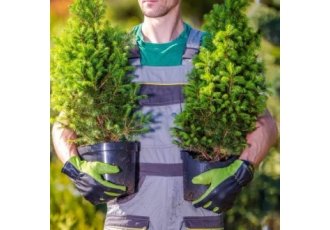 Garten- und Landschaftsbau in Kaltenkirchen – Fadil Gören Garten- und Landschaftsbau in Kaltenkirchen – Fadil Gören