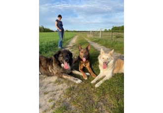 Hundeschule in Berlin – Jacqueline Prusas