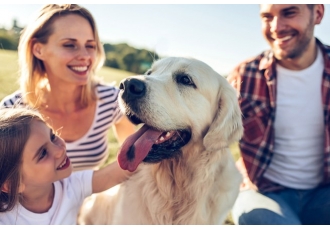 Hundeschule Brass Melanie