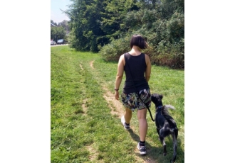 Hundeschule und Hundebetreuung in München – Marions-Hundetraining Hundeschule und Hundebetreuung in München – Marions-Hundetraining