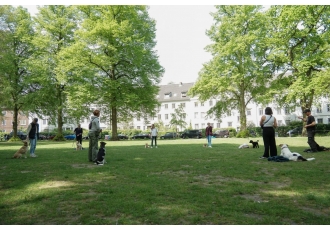 Hundeschule in Hamburg – Hundehalterschule Hamburg