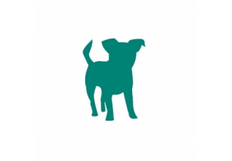 diehundetrainer