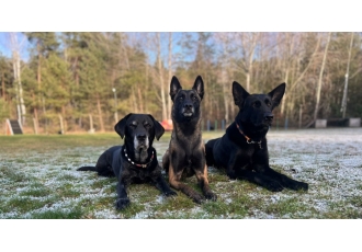 Caro Hundeschule Uwe Carolus Caro Hundeschule Uwe Carolus