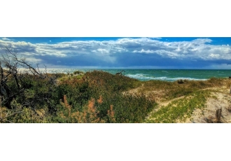 Ferienimmobilien Vermittlung in Ostseebad Prerow – Faulbaum-Kuestenurlaub
