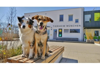 Tierschutzverein in München – Tierschutzverein München Tierschutzverein in München – Tierschutzverein München
