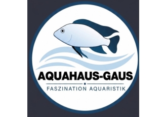 Zierfische & Cichliden in Neustadt – Nikolaj Gaus Zierfische & Cichliden in Neustadt – Nikolaj Gaus