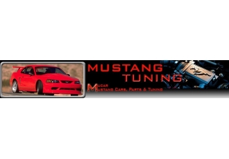 Ford Mustang Tuning & Teile in Heidelberg – MUCAR