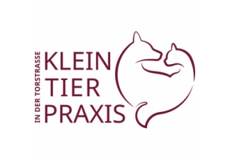Christin Bechmann Kleintierpraxis in der Torstrasse