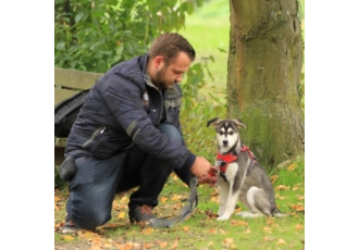 Hundeschule in Dortmund – FitHund Hundeschule in Dortmund – FitHund