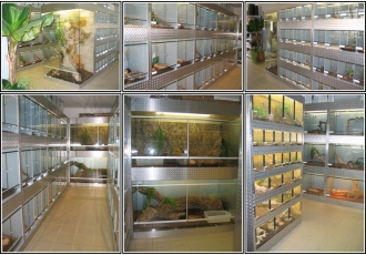 Terraristik und Zoofachhandel in Stuttgart – Meining Terraristik und Zoofachhandel in Stuttgart – Meining