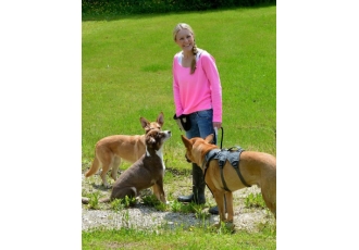 Hundephysiotherapie in Reutlingen – HerzensHund