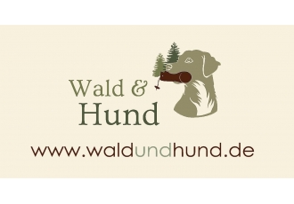 Wald und Hund Hundetraining Wald und Hund Hundetraining