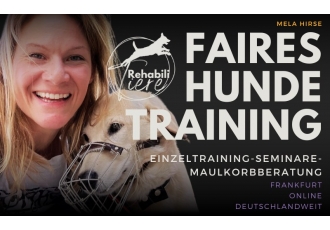 rehabili Tiere Hundeschule Tierheilpraxis rehabili Tiere Hundeschule Tierheilpraxis