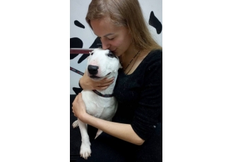 Hundefriseur in Essen – OH! Hundesalon