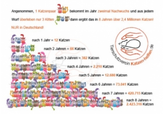 Tierschutzverein in Mettmann – Katzen Helfen e.V.