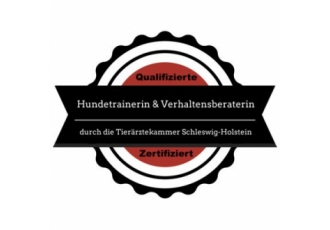 Hundeschule in Hamburg – Hundeservice Reinhold Hundeschule in Hamburg – Hundeservice Reinhold