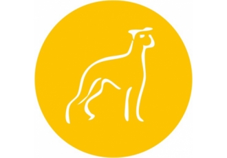 Hundeschule in München Pasing – Freude am Hund