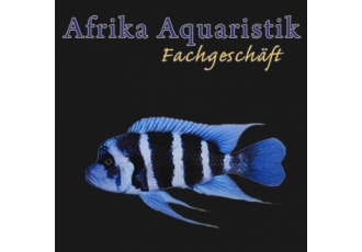 Aquaristik-Planung in Velbert – Afrika Aquaristik Aquaristik-Planung in Velbert – Afrika Aquaristik
