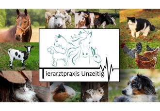 Tierarztpraxis in Greifenstein – Unzeitig