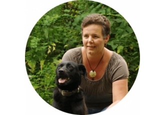 Hundeschule in Düsseldorf – HUNDETALENTE