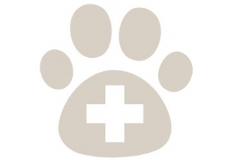 Tierheilpraktiker für Hunde in Fraunberg – Barbara Csery Tierheilpraktiker für Hunde in Fraunberg – Barbara Csery