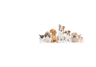 Hundesalon Seifert Katrin Hundesalon Seifert Katrin