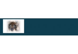 Hanke priv Tierbetreuung bei Ihnen zu Hause Beratung u individuelle Hundeschule Hanke priv Tierbetreuung bei Ihnen zu Hause Beratung u individuelle Hundeschule
