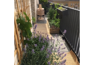 Gartenpflege in Berlin – easybeeberlin